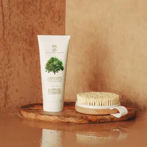 MASSADA - Scrub Al Karite