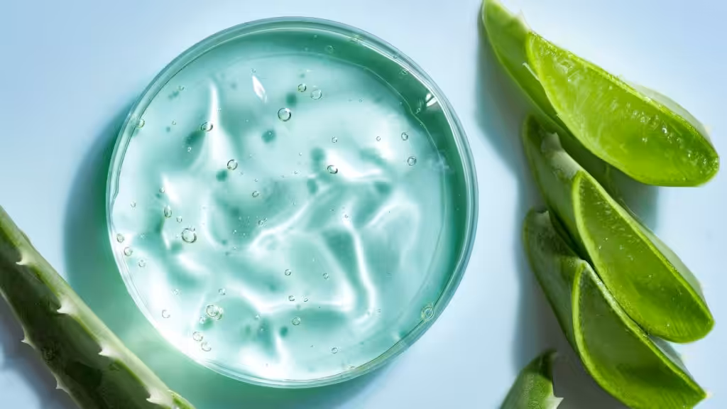 Cómo incorporar el aloe vera en tu rutina diaria