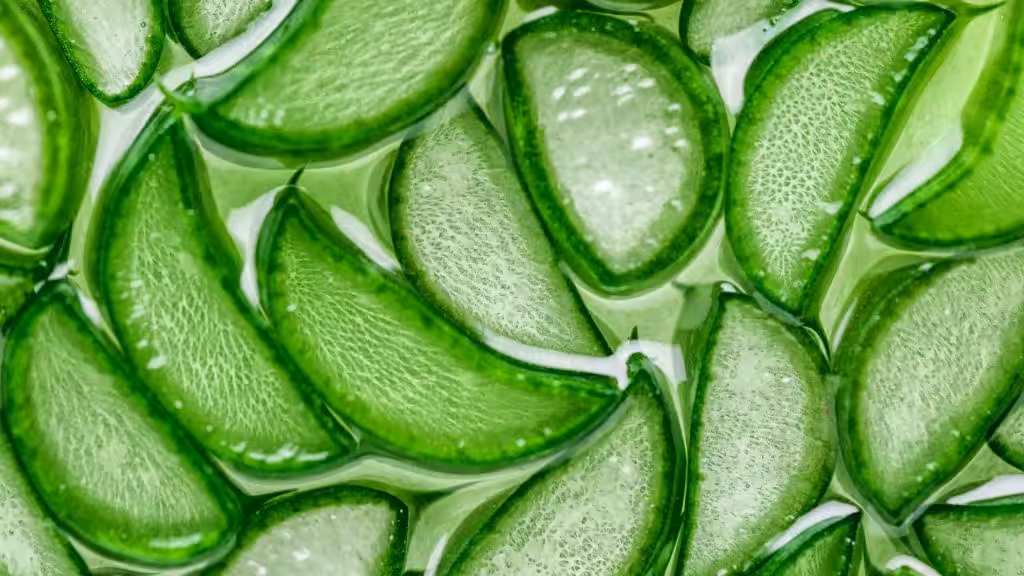 Principales Beneficios del Aloe Vera para la Piel
